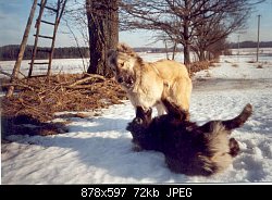 Нажмите на изображение для увеличения
Название: foto1.jpg
Просмотров: 305
Размер:	71.7 Кб
ID:	133