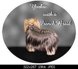 Нажмите на изображение для увеличения
Название: yorkie%20with%20a%20french%20braid21.jpg
Просмотров: 1328
Размер:	19.1 Кб
ID:	23998