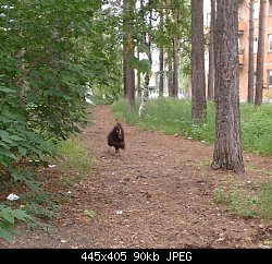 Нажмите на изображение для увеличения
Название: c.jpg
Просмотров: 580
Размер:	89.6 Кб
ID:	22756