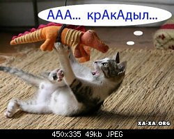 Нажмите на изображение для увеличения
Название: крокодил1.jpg
Просмотров: 355
Размер:	49.2 Кб
ID:	51231