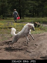 Нажмите на изображение для увеличения
Название: 21.06.08 217.jpg
Просмотров: 405
Размер:	89.4 Кб
ID:	50383