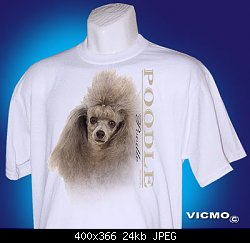 Нажмите на изображение для увеличения
Название: poodle.jpg
Просмотров: 418
Размер:	24.4 Кб
ID:	9585