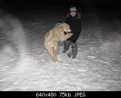 Нажмите на изображение для увеличения
Название: IMG_2698.JPG
Просмотров: 214
Размер:	75.5 Кб
ID:	75287