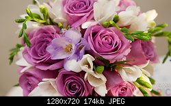 Нажмите на изображение для увеличения
Название: purple-rose.jpg
Просмотров: 184
Размер:	174.0 Кб
ID:	87764