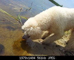 Нажмите на изображение для увеличения
Название: 20140529_132010.jpg
Просмотров: 218
Размер:	560.7 Кб
ID:	72825