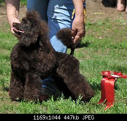 Нажмите на изображение для увеличения
Название: DSC_9772..jpg
Просмотров: 347
Размер:	447.0 Кб
ID:	72795