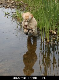 Нажмите на изображение для увеличения
Название: 2008 1 287.jpg
Просмотров: 450
Размер:	168.0 Кб
ID:	49853