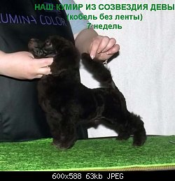 Нажмите на изображение для увеличения
Название: DSCF6077 copy.jpg
Просмотров: 114
Размер:	63.0 Кб
ID:	80165