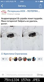 Нажмите на изображение для увеличения
Название: image.jpg
Просмотров: 238
Размер:	157.4 Кб
ID:	74310