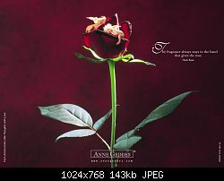 Нажмите на изображение для увеличения
Название: роза и ангелы.jpg
Просмотров: 246
Размер:	143.1 Кб
ID:	35699