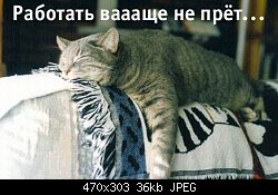 Нажмите на изображение для увеличения
Название: 11-02-2004-3.jpg
Просмотров: 613
Размер:	36.4 Кб
ID:	2703