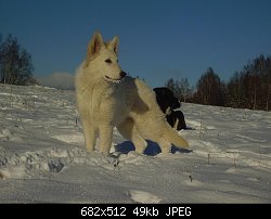 Нажмите на изображение для увеличения
Название: tarjka.jpg
Просмотров: 961
Размер:	48.5 Кб
ID:	25313