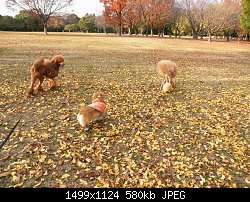 Нажмите на изображение для увеличения
Название: PC070470.jpg
Просмотров: 564
Размер:	580.3 Кб
ID:	70598