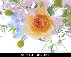 Нажмите на изображение для увеличения
Название: Чайная роза.jpg
Просмотров: 238
Размер:	34.4 Кб
ID:	40634