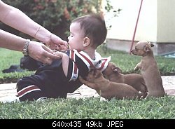 Нажмите на изображение для увеличения
Название: puppy_help.jpg
Просмотров: 378
Размер:	49.5 Кб
ID:	1971
