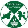 Аватар для SibGroom