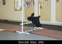 Нажмите на изображение для увеличения
Название: in_class_jump-2.jpg
Просмотров: 665
Размер:	50.4 Кб
ID:	10082