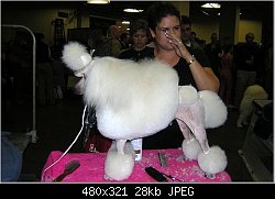 Нажмите на изображение для увеличения
Название: poodle5.jpg
Просмотров: 1213
Размер:	27.8 Кб
ID:	13975