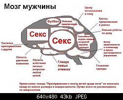 Нажмите на изображение для увеличения
Название: brainmale.jpg
Просмотров: 222
Размер:	42.6 Кб
ID:	1581