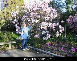 Нажмите на изображение для увеличения
Название: internetv_vita + big flower trees.jpg
Просмотров: 178
Размер:	62.9 Кб
ID:	1627