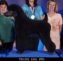 Нажмите на изображение для увеличения
Название: poodle%20class%20barbara%20prueckel%20000%20med.jpg
Просмотров: 446
Размер:	12.1 Кб
ID:	28594