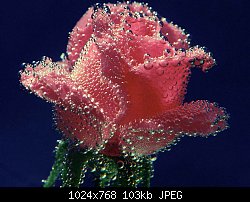 Нажмите на изображение для увеличения
Название: flowers_030.jpg
Просмотров: 285
Размер:	103.0 Кб
ID:	29086