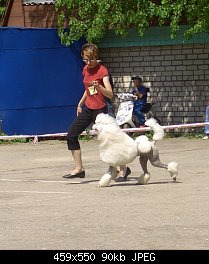 Нажмите на изображение для увеличения
Название: cimg4446--.jpg
Просмотров: 371
Размер:	89.9 Кб
ID:	30117