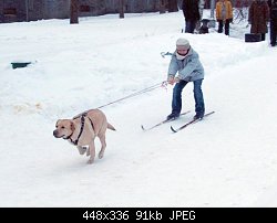 Нажмите на изображение для увеличения
Название: buksirovka.jpg
Просмотров: 295
Размер:	90.9 Кб
ID:	44211