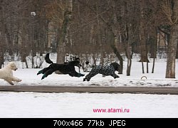 Нажмите на изображение для увеличения
Название: cпасибо тов лактюшкину за счастливую старость!!!.jpg
Просмотров: 339
Размер:	76.7 Кб
ID:	44845