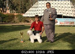 Нажмите на изображение для увеличения
Название: resize of м17 - спенсер - лучшая собака выставки в марокко!.jpg
Просмотров: 228
Размер:	101.4 Кб
ID:	46993