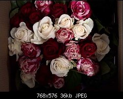 Нажмите на изображение для увеличения
Название: roses.jpg
Просмотров: 430
Размер:	36.3 Кб
ID:	4860