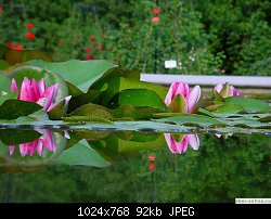 Нажмите на изображение для увеличения
Название: oboi-flowers-114.jpg
Просмотров: 296
Размер:	91.7 Кб
ID:	50441