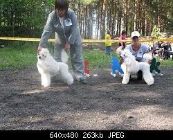 Нажмите на изображение для увеличения
Название: img_0672.jpg
Просмотров: 173
Размер:	263.1 Кб
ID:	51818