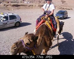 Нажмите на изображение для увеличения
Название: s2008-isr-верблюд обгоняя авто 563н.jpg
Просмотров: 330
Размер:	77.5 Кб
ID:	52042