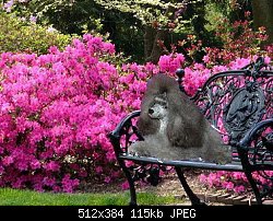 Нажмите на изображение для увеличения
Название: Изюм в саду.jpg
Просмотров: 173
Размер:	114.9 Кб
ID:	52845