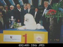 Нажмите на изображение для увеличения
Название: world winner 2002.jpg
Просмотров: 262
Размер:	33.5 Кб
ID:	5496