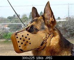 Нажмите на изображение для увеличения
Название: leather-dog-muzzle-agitation-bar-tan.jpg
Просмотров: 291
Размер:	17.6 Кб
ID:	55644