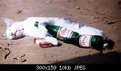 Нажмите на изображение для увеличения
Название: drunkcat.jpg
Просмотров: 236
Размер:	10.0 Кб
ID:	615