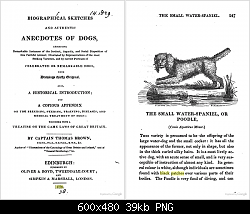 Нажмите на изображение для увеличения
Название: poodles-parti-1829.png
Просмотров: 188
Размер:	38.8 Кб
ID:	70545