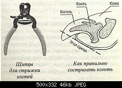 Нажмите на изображение для увеличения
Название: 26704.jpg
Просмотров: 242
Размер:	46.3 Кб
ID:	73212