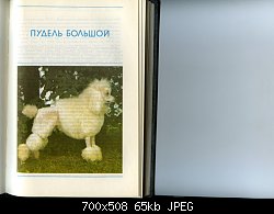 Нажмите на изображение для увеличения
Название: каталог 45  большой пудель.jpg
Просмотров: 244
Размер:	65.3 Кб
ID:	9362