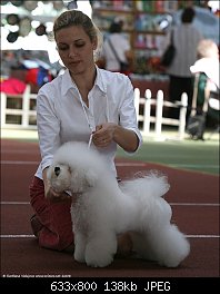 Нажмите на изображение для увеличения
Название: bichon_4532.jpg
Просмотров: 210
Размер:	138.2 Кб
ID:	56137