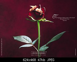 Нажмите на изображение для увеличения
Название: роза.jpg
Просмотров: 193
Размер:	47.3 Кб
ID:	32708