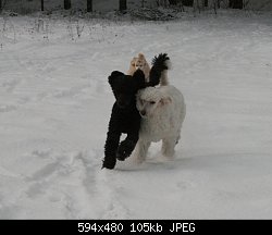 Нажмите на изображение для увеличения
Название: meie metsas nov 08 185.jpg
Просмотров: 251
Размер:	105.3 Кб
ID:	65511