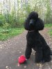 Аватар для Juju